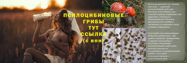 круглые Алексеевка