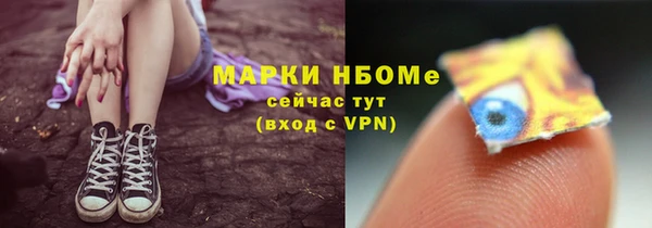 прущие грибы Алзамай