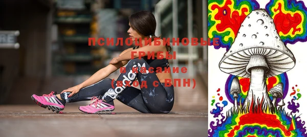 прущие грибы Алзамай